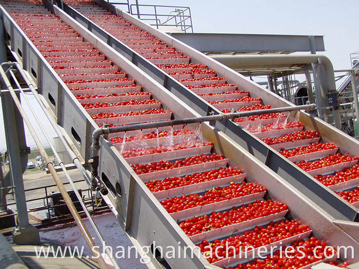 Fresh grape orange coconut Juice processing Production Line